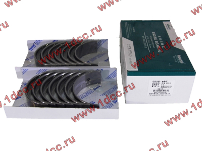 Вкладыши коренные WD618 (комплект) SH SHAANXI / Shacman (ШАНКСИ / Шакман) 61800010128/132 фото 1 Ижевск
