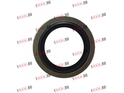 Шайба уплотнительная резинометаллическая D-24 H2 HOWO (ХОВО)  фото 1 Ижевск