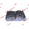 Вкладыши коренные WD618 (комплект) SH SHAANXI / Shacman (ШАНКСИ / Шакман) 61800010128/132 фото 2 Ижевск