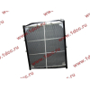 Радиатор WP10 SH SHAANXI / Shacman (ШАНКСИ / Шакман) DZ9112539268 фото 2 Ижевск