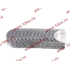 Вкладыши коренные стандарт +0.00 (14шт) LONGGONG CDM833 Lonking CDM (СДМ) 13034908/13034916 фото 2 Ижевск