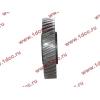 Шестерня привода распредвала промежуточная WD615/WP10 HOWO (ХОВО) VG1560050053/61560050053 фото 3 Ижевск
