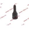 Распылитель DELPHI L337PBB DBG H HOWO (ХОВО) L337PBB фото 3 Ижевск